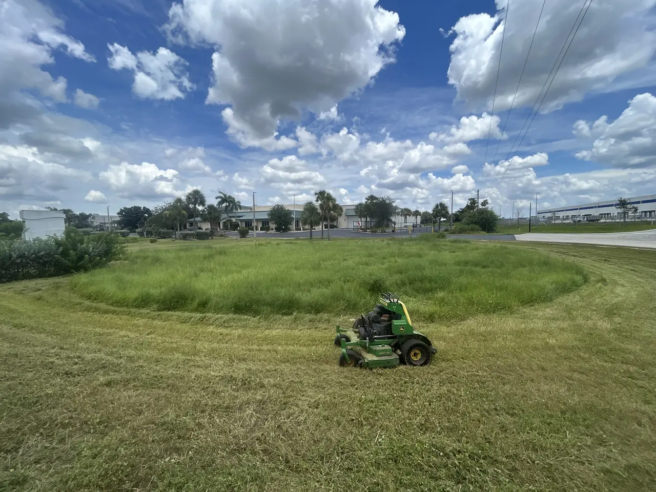 Mowing down an overgrown lot