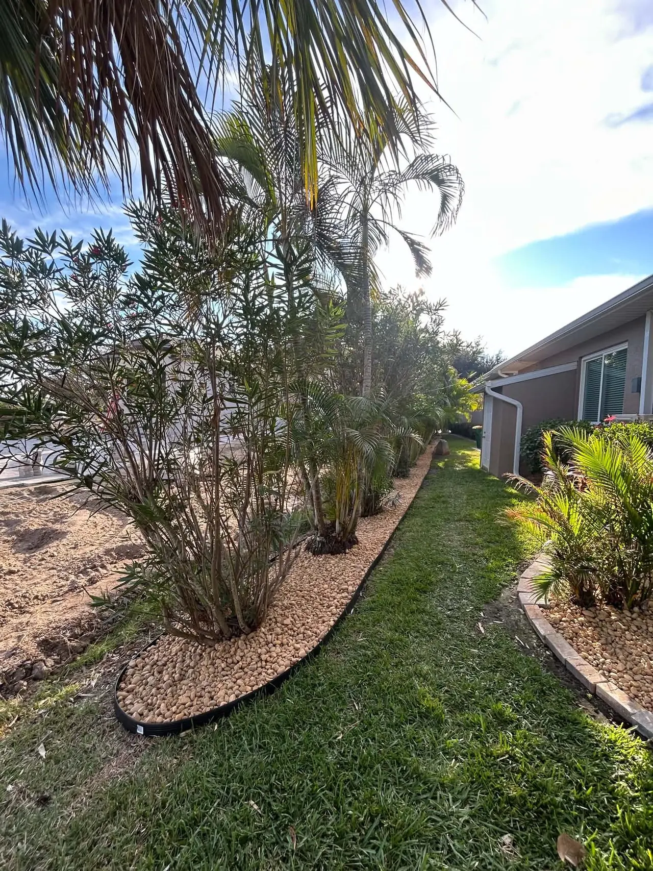 Palm row & river-rock border