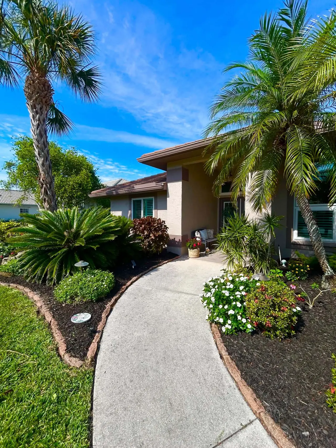 Front-entry walkway & sago palms